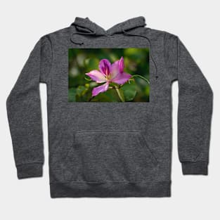 Orchid Tree Bloom Hoodie